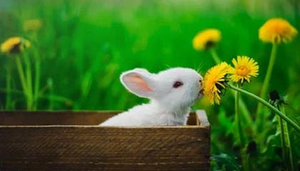 星空体育官网入口：开启极致体育新体验的官方通道